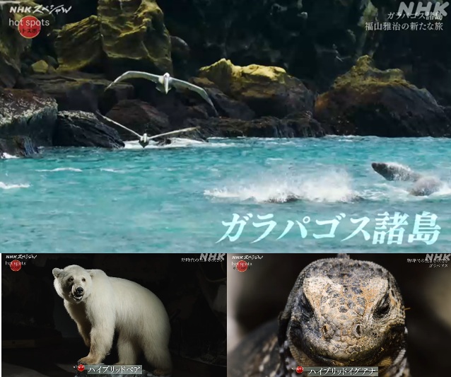 北海道中国会お知らせ