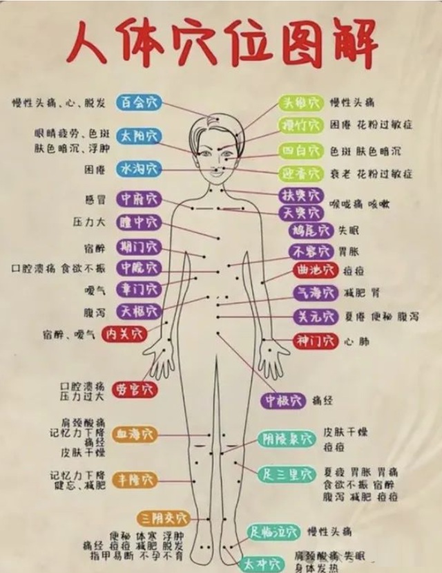 陶氏診療院